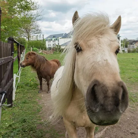 Medieval Farmhouse With Private Garden *